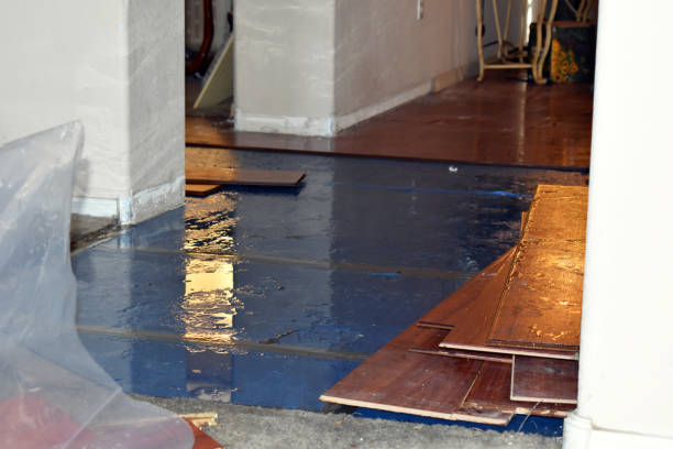 Professional Flood Cleanup technician working in Slater, MO
